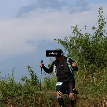 Runner Photo 5333991