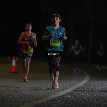 Runner Photo 5334608