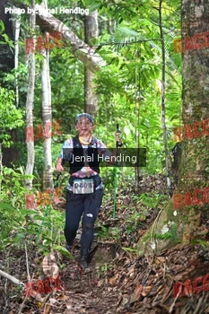 Runner Photo 533461