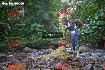 Runner Photo 533502