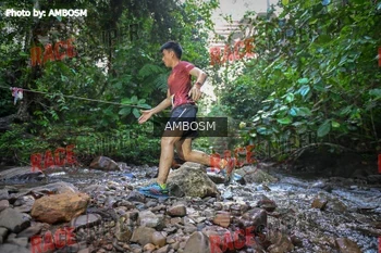 Runner Photo 533510