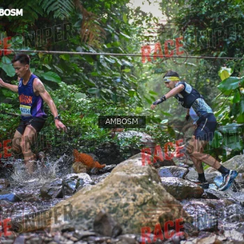 Runner Photo 533523