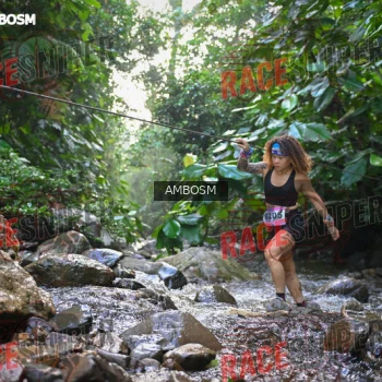 Runner Photo 533671