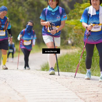 Runner Photo 5336884