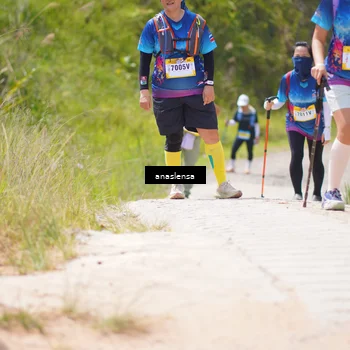 Runner Photo 5336917