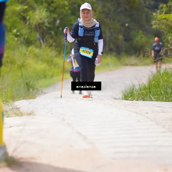Runner Photo 5337194