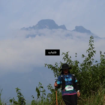 Runner Photo 5337205