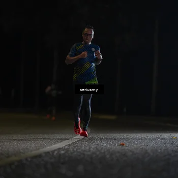 Runner Photo 5337417
