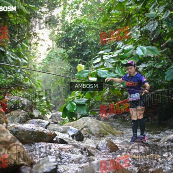 Runner Photo 533744