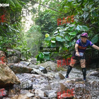 Runner Photo 533755