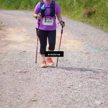 Runner Photo 5337852