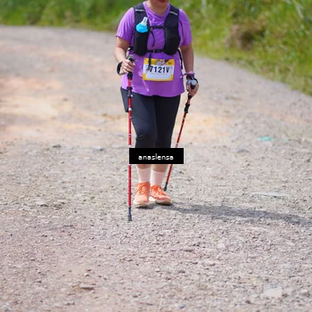 Runner Photo 5337855