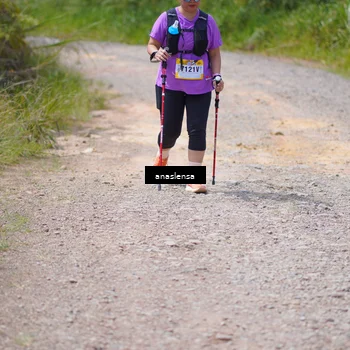 Runner Photo 5337861