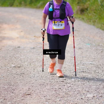 Runner Photo 5337961