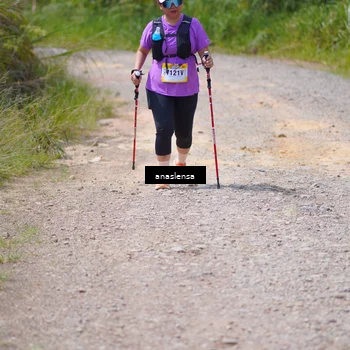 Runner Photo 5337986