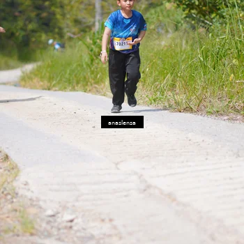 Runner Photo 5338393