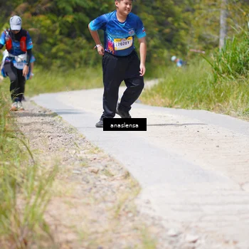 Runner Photo 5338582
