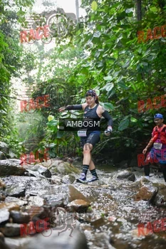 Runner Photo 533867