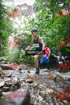 Runner Photo 533875