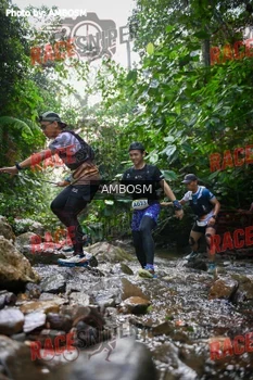 Runner Photo 533877