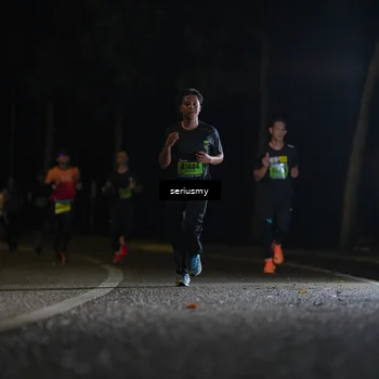 Runner Photo 5338781