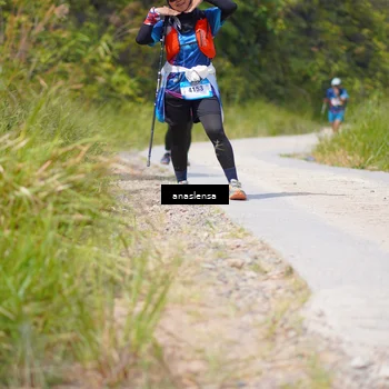 Runner Photo 5338807