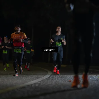 Runner Photo 5338815