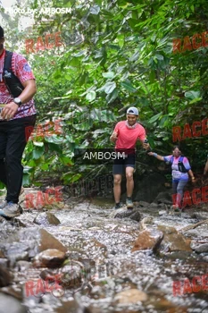 Runner Photo 533888
