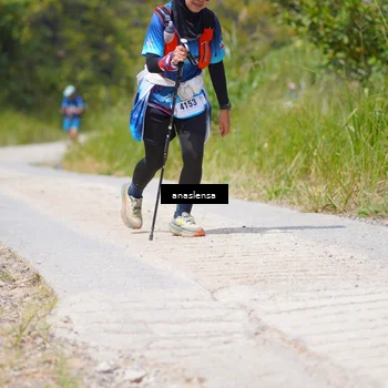 Runner Photo 5338888