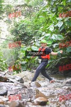 Runner Photo 533936