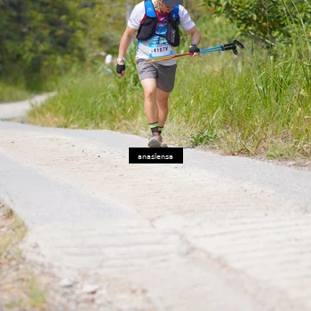 Runner Photo 5339615