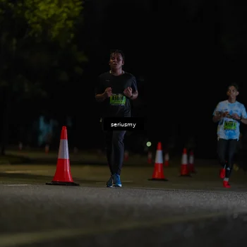 Runner Photo 5339684