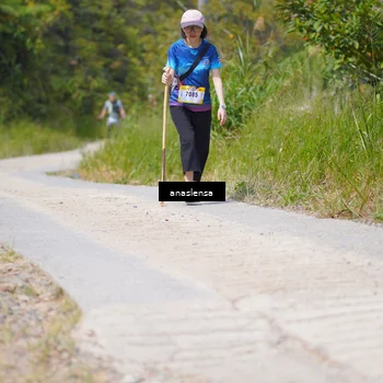 Runner Photo 5339777