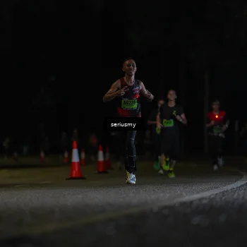 Runner Photo 5339970