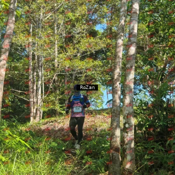 Runner Photo 5340