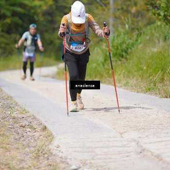 Runner Photo 5340006