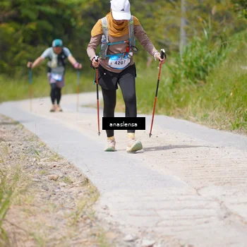 Runner Photo 5340015