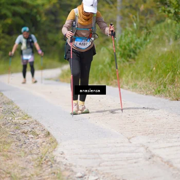Runner Photo 5340031