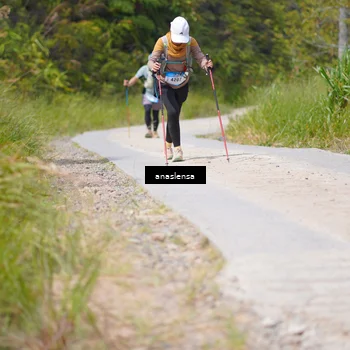 Runner Photo 5340037