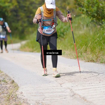 Runner Photo 5340054
