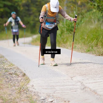 Runner Photo 5340062