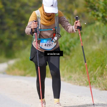 Runner Photo 5340086
