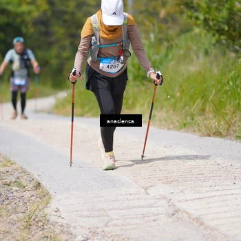 Runner Photo 5340225