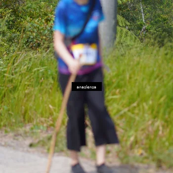 Runner Photo 5340252