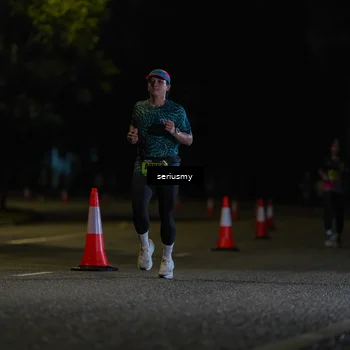 Runner Photo 5340834