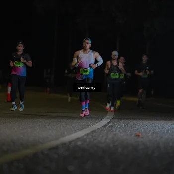 Runner Photo 5340851