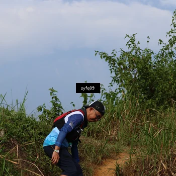 Runner Photo 5340995