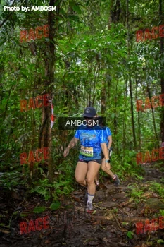 Runner Photo 534101