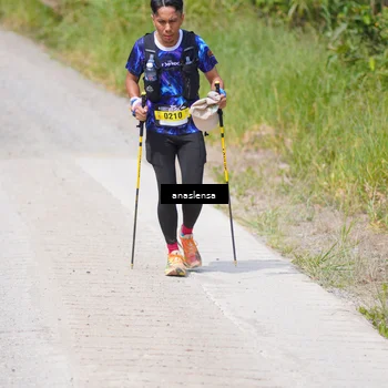 Runner Photo 5341099