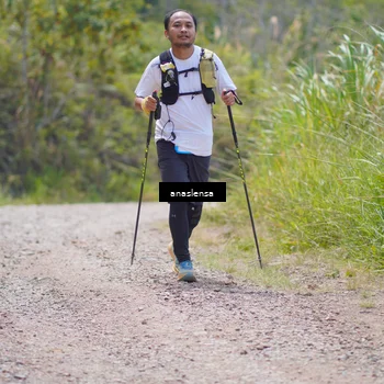 Runner Photo 5341339